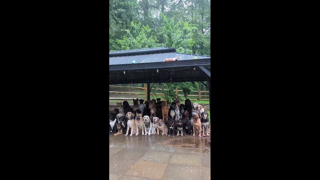 बारिश ज्यादा आ रही है