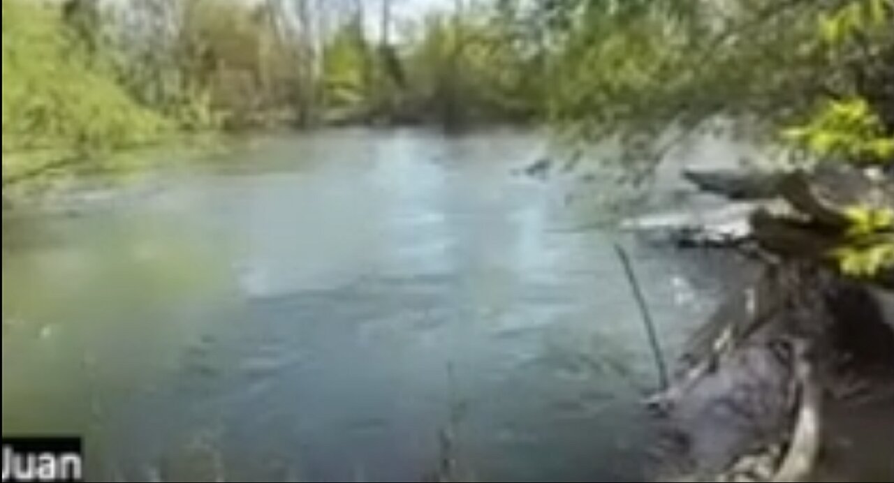 JUAN O SAVIN APRIL 22