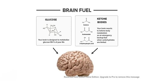 ketone bodies and its metabolism