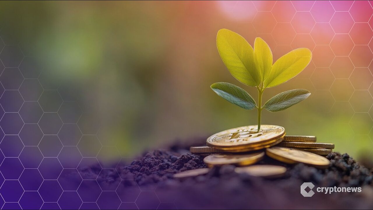 Ark Invest Scoops Up $13.3M in Coinbase Shares Amid Market Slump