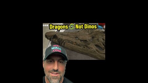 Dragons not Dino’s