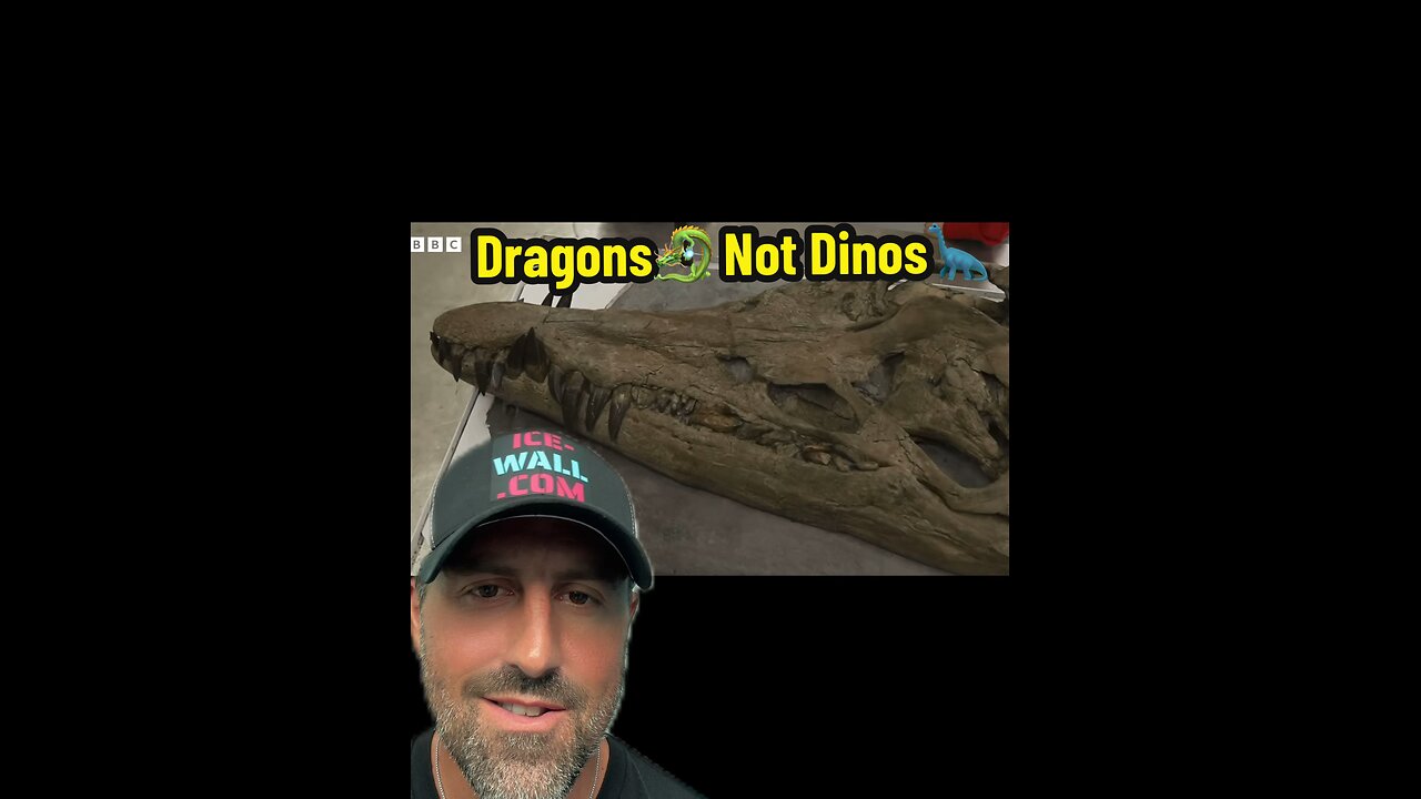 Dragons not Dino’s