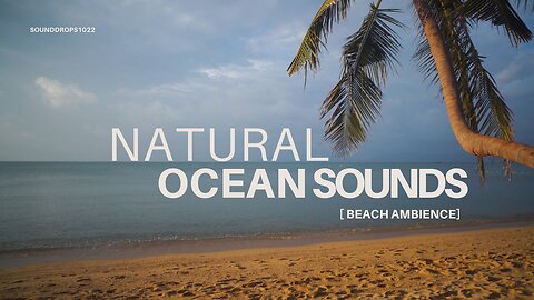 90 Minutes of Gentle Beach Waves – Natural Ocean Sounds