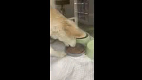 20251218. Jesus Christ is KING.