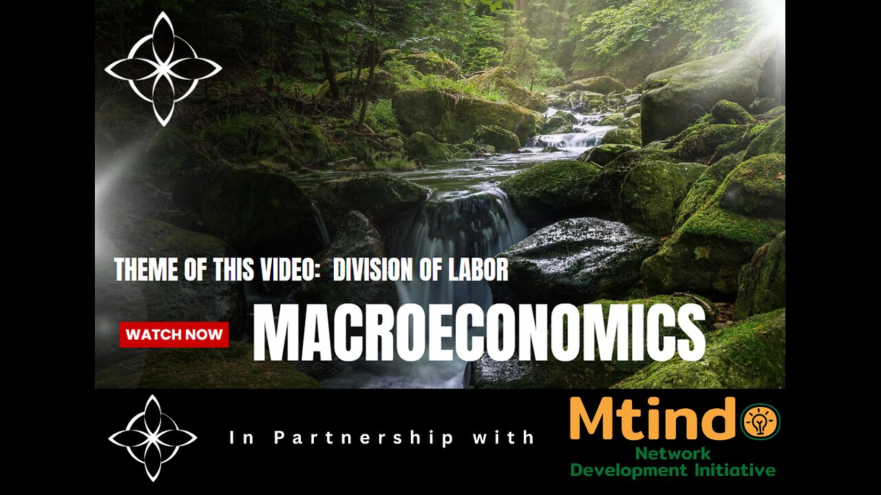 Macroeconomic Gem Video #28 is about division of labor.