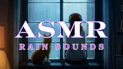 ASMR Rain Sounds for Deep Sleep | Cozy Night with a Dog