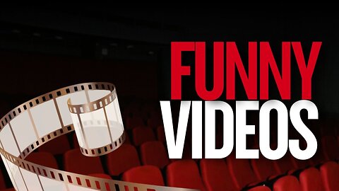 Funny videos. Collection 1