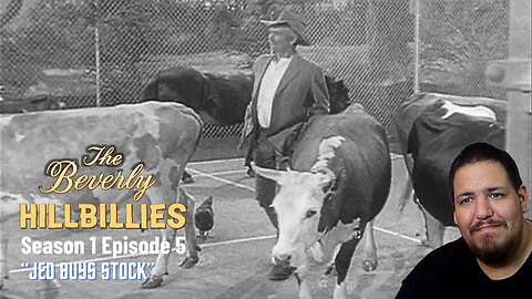 The Beverly Hillbillies | Season 1 Episode 5 | "Jed Buys Stock" | TV Show Reaction