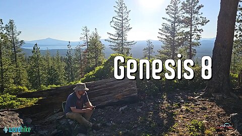 Genesis 8