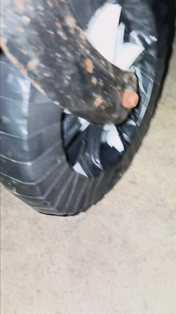 HOMELESS WHEEL REPAIR