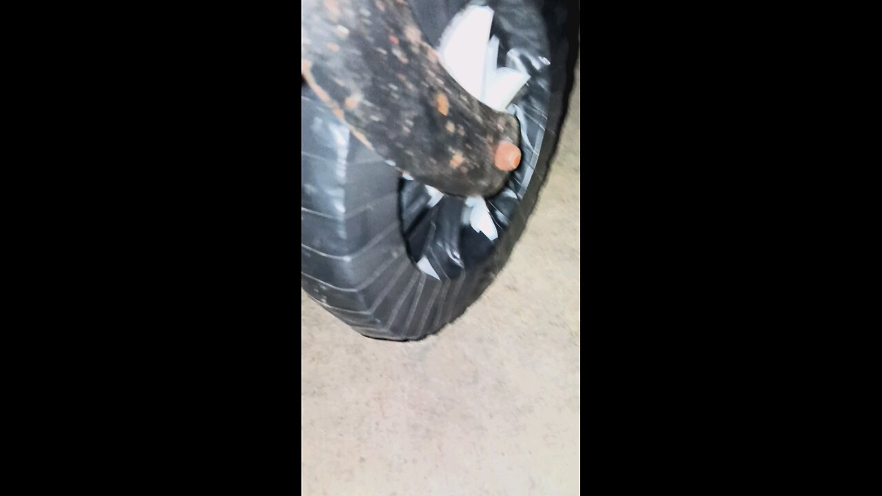 HOMELESS WHEEL REPAIR