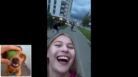 Funny videos compilation 59