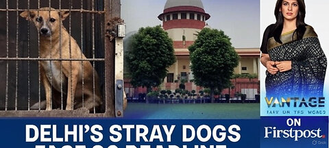 🚨 Delhi’s Stray Dogs in Trouble? Supreme Court Sets Deadline