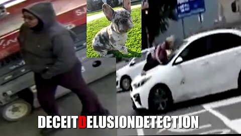 A white woman had her French bulldog stolen by a black female suspect