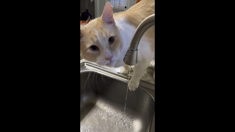 Since Its Trending…😹😹