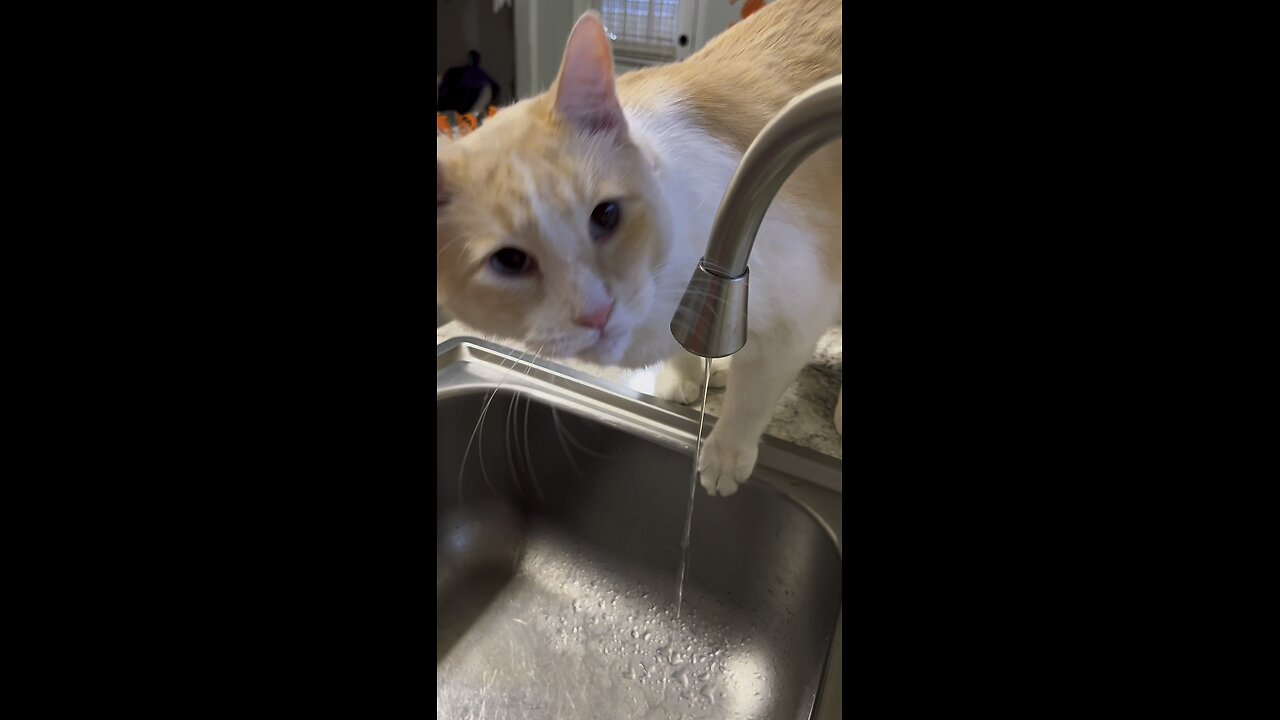 Since Its Trending…😹😹