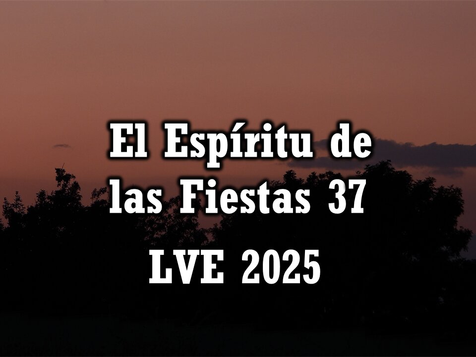 El Espíritu de las Fiestas 37