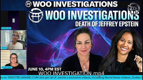 WOO INVESTIGATION