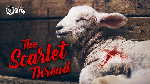 #1018 // THE SCARLET THREAD - LIVE
