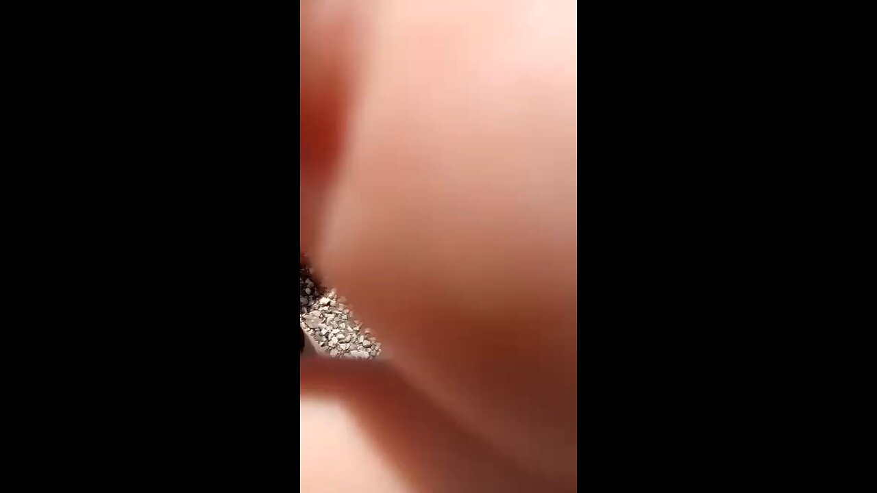 lol