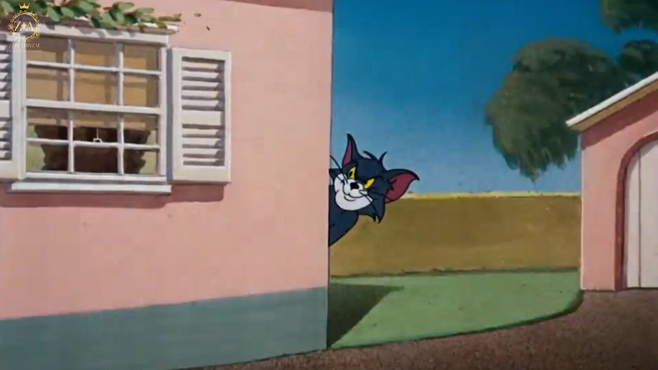 Tom and Jerry 🐶🐱Animal Friends