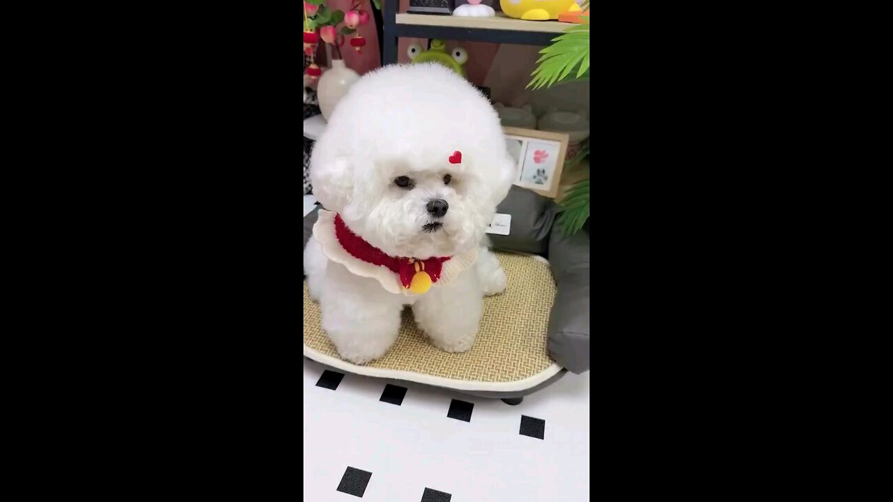 काट के दो