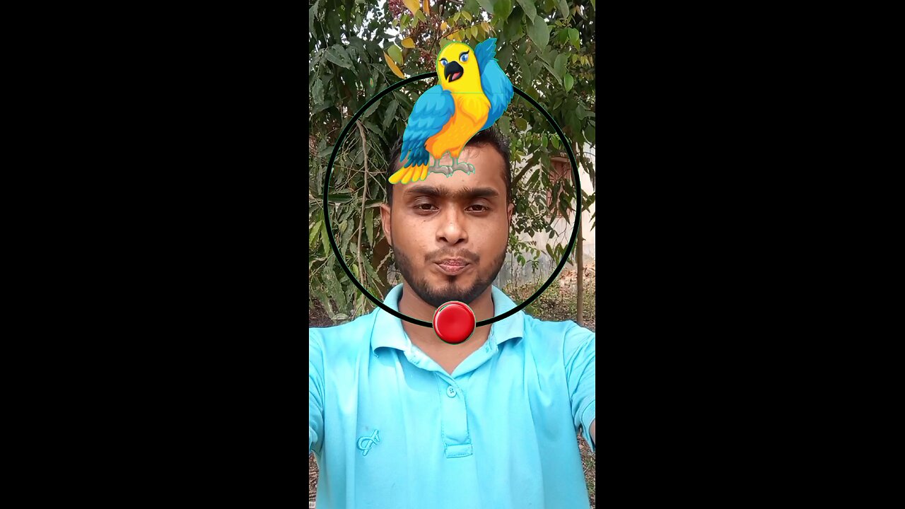 টিয়ার মাথাটি সঠিক জায়গায় বসান #Amazing #puzzle #vairalreels #reels #shorts #virals