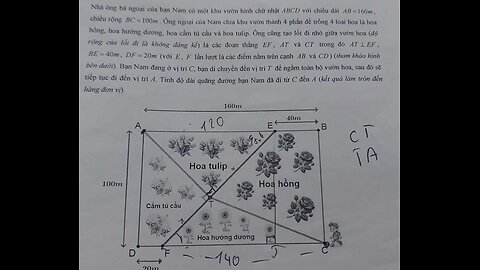 Toán 10: Tọa độ hóa: Nhà ông bà ngoại của bạn Nam có một khu vườn hình chữ nhật ABCD với chiều dài