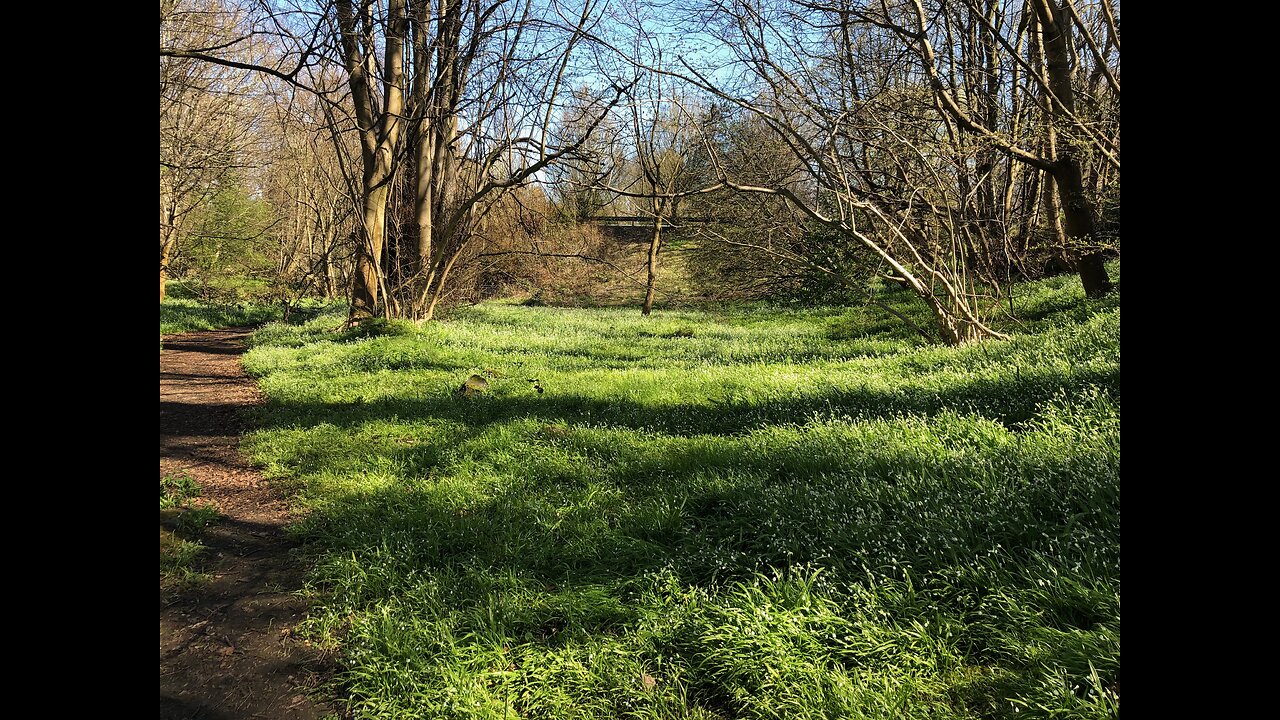 Shale Trail - Broxburn