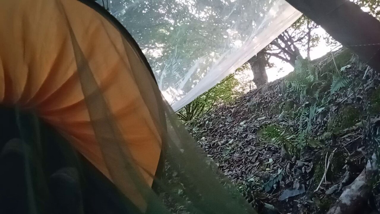 04, sunset , shitty american phone, motorola,