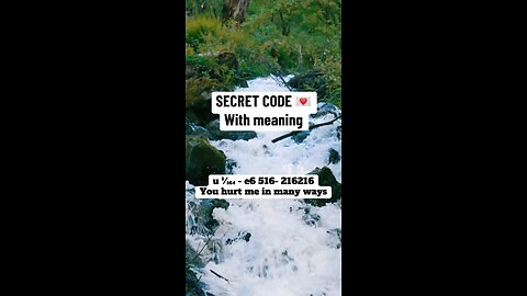 Secret code with meaning u ¹⁄₁₆₄ - e6 516- 216216