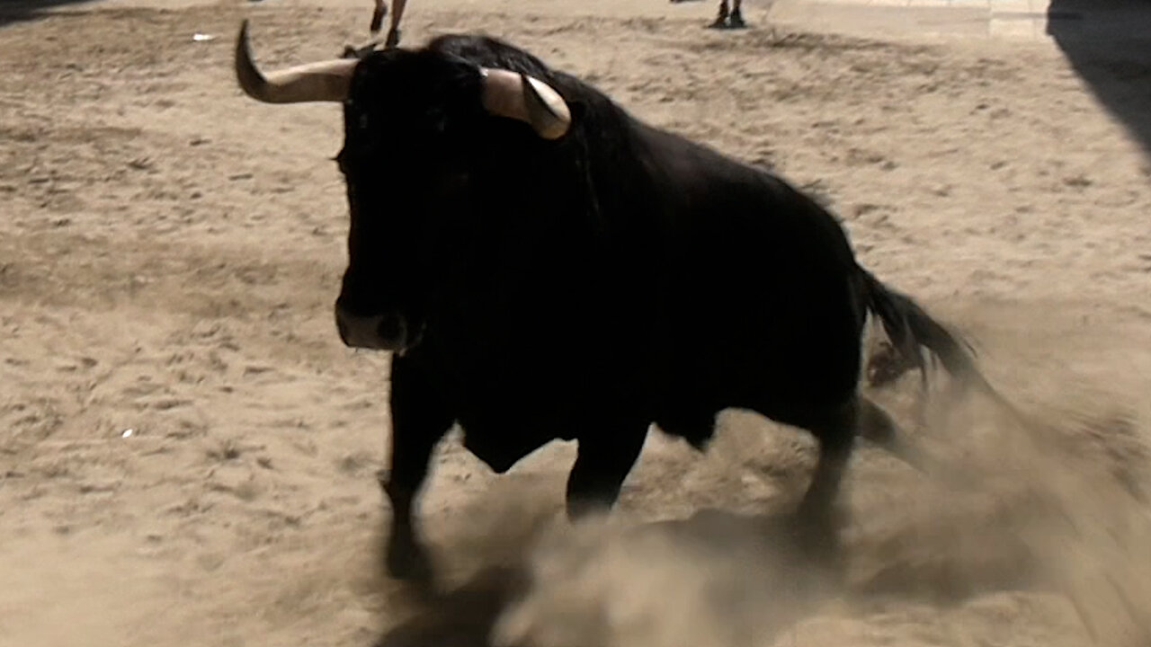 2025 06 28 EL GRAO ENCIERRO EL PILAR