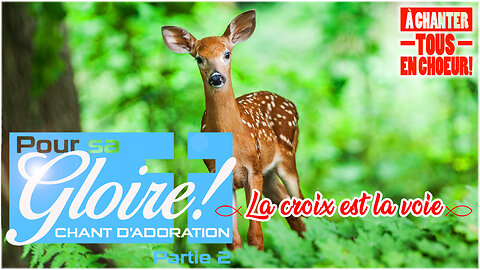 CHANSON CHRÉTIENNE | qui nous indique le bon chemin | 🙏❤️🙏- LA CROIX EST LA VOIE -🙏❤️🙏#louange2025