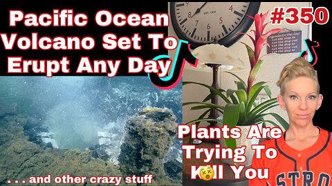 The Strangest Stuff on the Internet