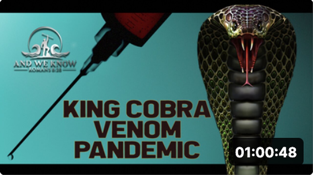 "4.13.2022: Venom, Cobras, Digital Warriors and NYC Expose More Evil - Pray!"
