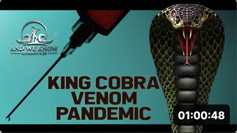 "4.13.2022: Venom, Cobras, Digital Warriors and NYC Expose More Evil - Pray!"