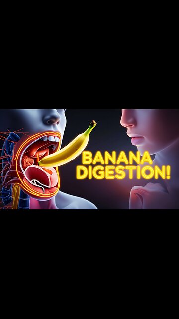 What Happens Inside Your Gut When You Eat a Banana 🍌😳 (3D Animation)