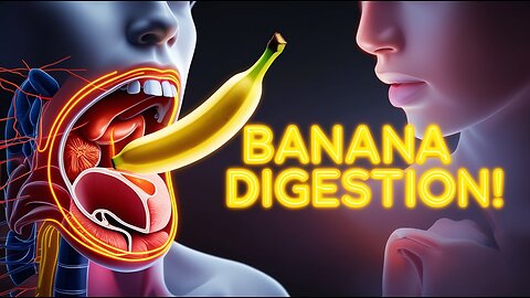What Happens Inside Your Gut When You Eat a Banana 🍌😳 (3D Animation)