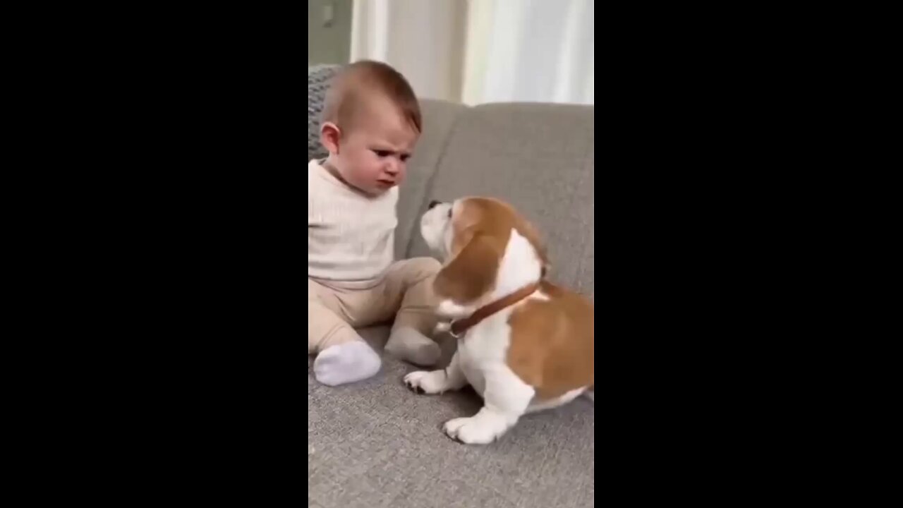 baby and dog