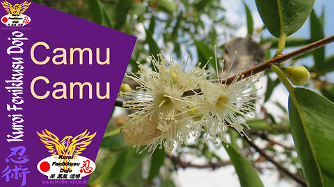 078 - Camu Camu