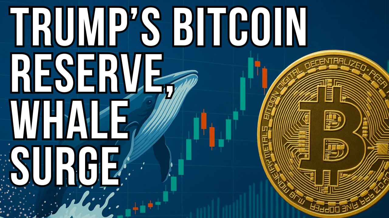 Trump’s Bitcoin Reserve, Whale Surge, and a $1M BTC Shock Incoming | Blockchain Report
