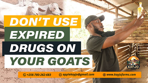 Why You Shouldn't Use Expired Drugs On Your Goats | ep27 #goatfarming #expiredmedicine