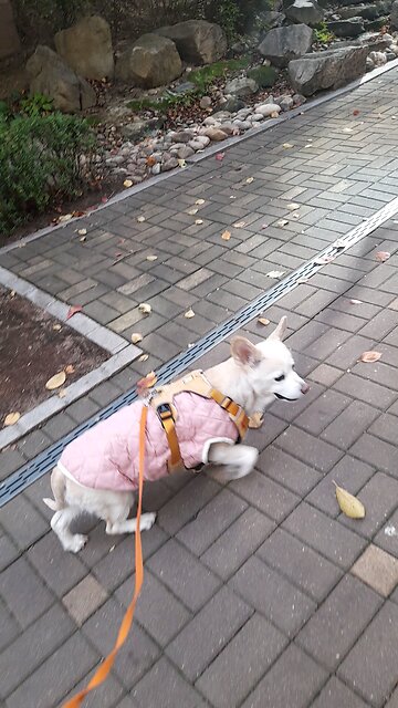 20251105. God is love