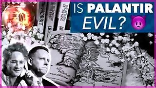 Palantir Prison Grid