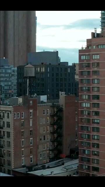 dissapearance of elisa lam