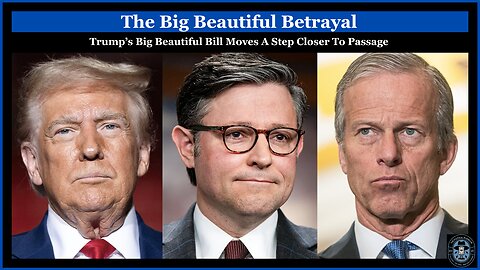 The Big Beautiful Betrayal - The Political Playbook Ep 23