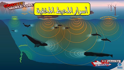 همس المحيط: حقائق مذهلة تكشف أسرار الأعماق #أصوات_البحار #أعماق_مجهولة