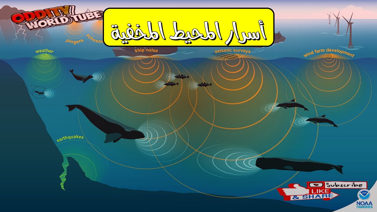 همس المحيط: حقائق مذهلة تكشف أسرار الأعماق #أصوات_البحار #أعماق_مجهولة