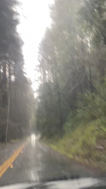 HAPPY ST PADDYS!☘️☘️ITS SNOWING FOR THE LUCK O THE IRISH☘️☘️☘️🍀