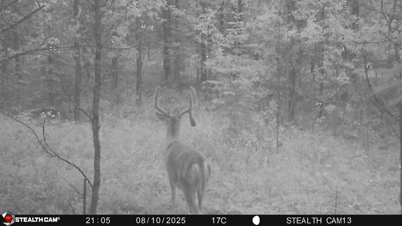 Alberta Whitetail 2025 - Episode 3 - Trail Cams